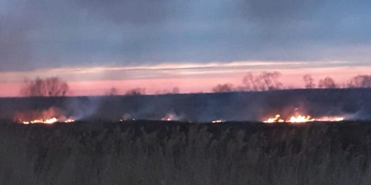 13 incendii de vegetație uscată într-o singură zi, în Teleorman