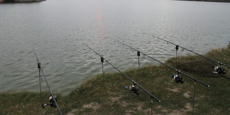 Interzis la pescuit în două dintre cele trei bălți deținute de Primăria Roșiorii de Vede