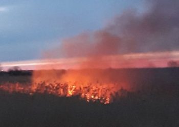 ISU și IPJ: Fiți responsabili! Stop incendiilor de vegetație uscată!