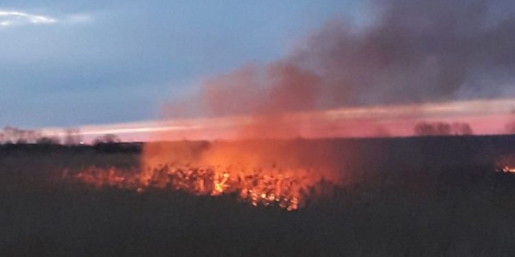 ISU și IPJ: Fiți responsabili! Stop incendiilor de vegetație uscată!