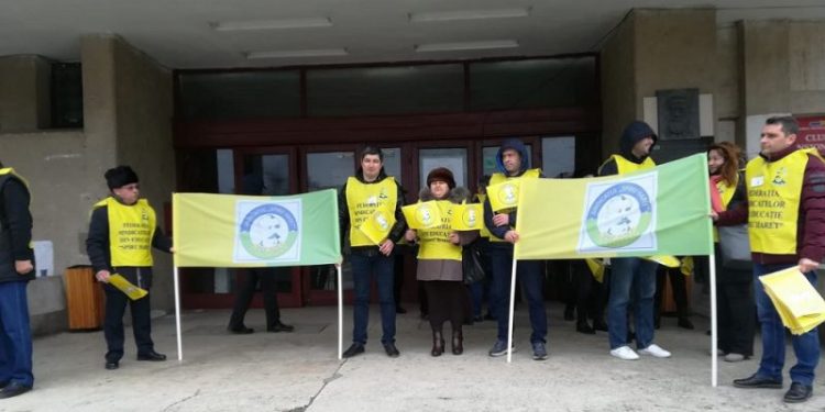 Sindicaliștii din învățământul teleormănean cer mai mulți bani pentru școli