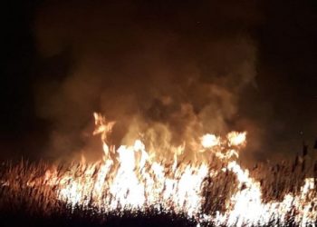 [Video] La Stejaru, un incendiu de vegetaţie uscată era să aprindă pădurea