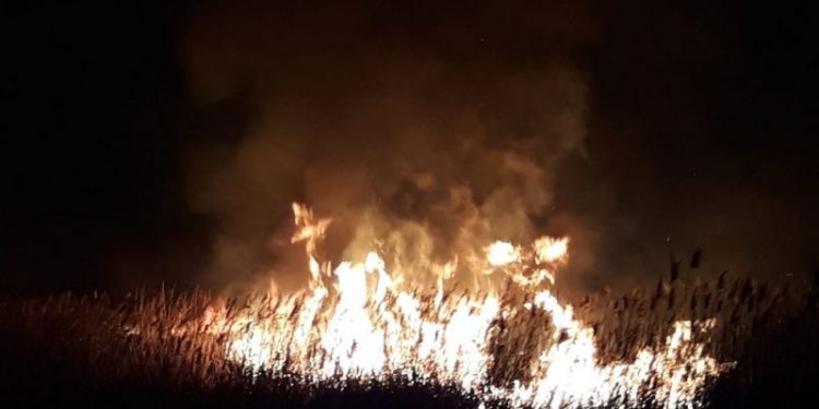 [Video] La Stejaru, un incendiu de vegetaţie uscată era să aprindă pădurea