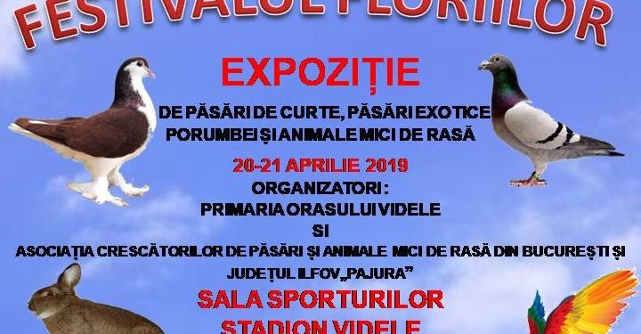 Sâmbătă și duminică, expoziție inedită de păsări și animale mici, la Videle