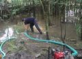 Precipitațiile căzute în ultimele ore au creat probleme. Mai multe gospodării sunt inundate