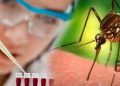 Virusul West Nile crește deficitul de sânge, în Teleorman
