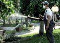 Astăzi, se face dezinsecție împotriva țânțarilor, la Roșiorii de Vede. Pe ici, pe colo