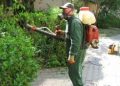Dezinsecție pe cont propriu într-o asociație de proprietari din Roșiorii de Vede