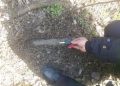 Proiectile explozive din Al Doilea Război Mondial, descoperite într-o gospodărie din Traian