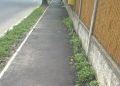Pe Strada Locotenent Bălăcescu crește iarba prin asfaltul de pe trotuare