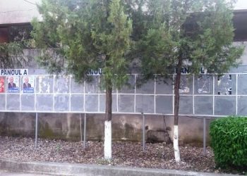 PLUS Teleorman solicită respectarea legii privind afișajul electoral