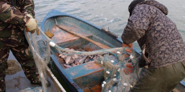 Focuri de avertisment pentru prinderea unor braconieri piscicoli