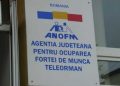 425 locuri de muncă vacante la nivelul judeţului Teleorman