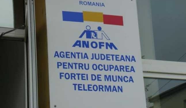 425 locuri de muncă vacante la nivelul judeţului Teleorman