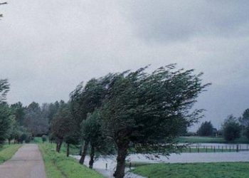 Județul Teleorman sub Cod galben de vânt