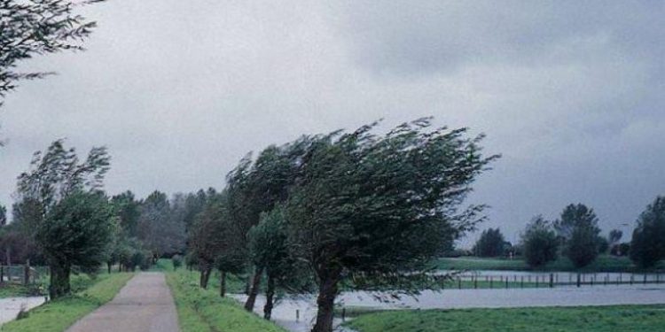 Județul Teleorman sub Cod galben de vânt