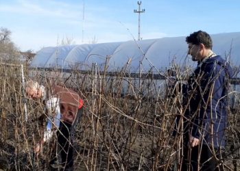 [Video] Sărbătoare mare de Zărezan, la Izvoarele