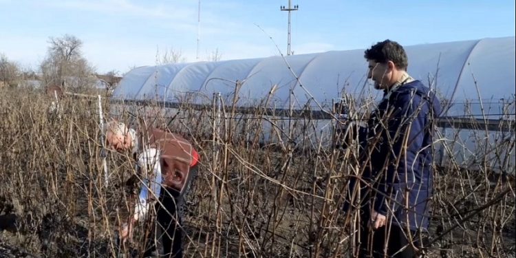 [Video] Sărbătoare mare de Zărezan, la Izvoarele