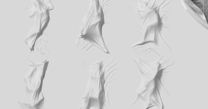 Filmul „colectiv”, în avanpremieră la Alexandria