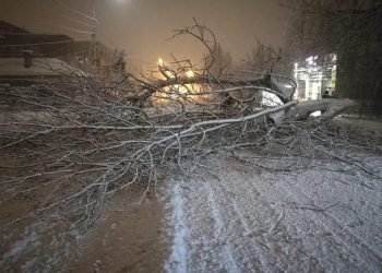 Autoritățile teleormănene acționează