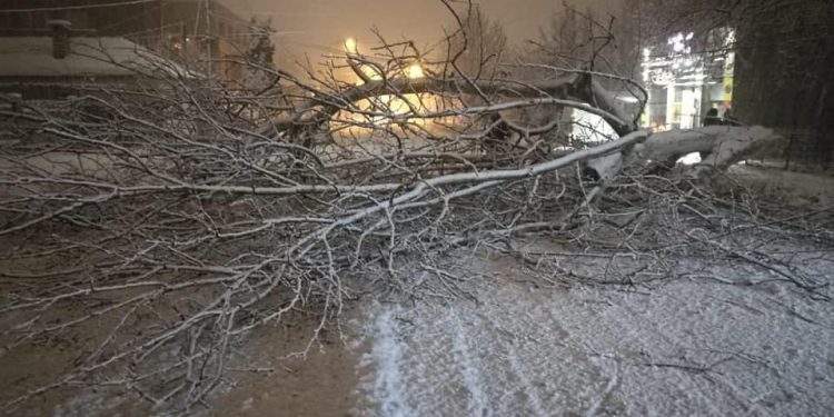 Autoritățile teleormănene acționează