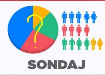 Surse: Surpriză în sondajul PNL. Cine este candidatul pentru funcția de primar al municipiului Alexandria?
