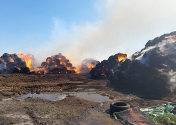 Incendii la Moșteni și Seaca