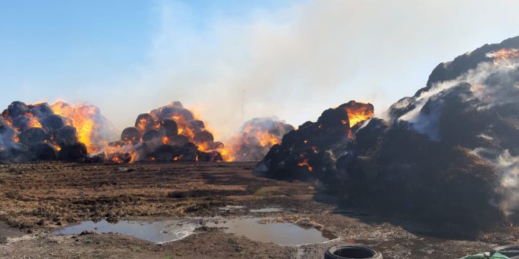 Incendii la Moșteni și Seaca