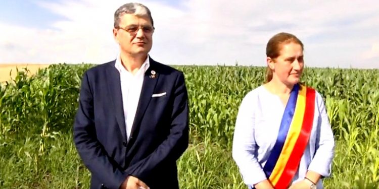 Marcel Boloș a vizitat câmpul pe care va trece rețeaua de gaze, la Suhaia