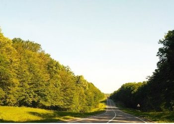 43 de hectare de perdele forestiere pentru protecția drumurilor naționale vor fi plantate în Teleorman