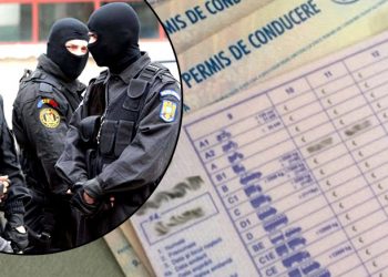 Razie în Teleorman. O grupare, specializată în obţinerea ilegală de permise auto, destructurată