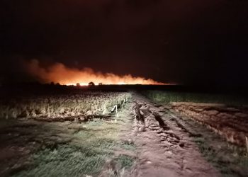 Incendiu într-un lan de grâu din Brânceni