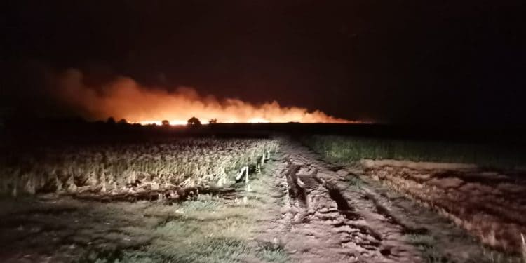 Incendiu într-un lan de grâu din Brânceni