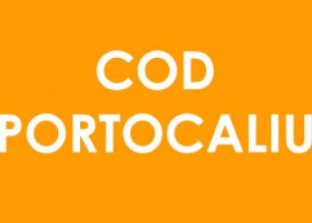 Avertizare meteo: cod portocaliu de ploi abundente, vijelii și grindină în Teleorman
