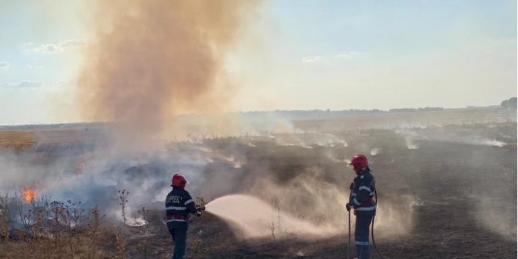 ISU Teleorman: 40 de incendii de vegetație uscată, gunoi menajer și miriști, în numai trei zile