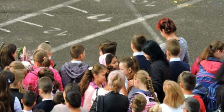 IȘJ Teleorman, anunț despre anul școlar 2020-2021