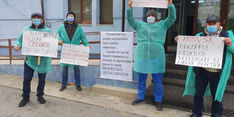 Medicii veterinari din Teleorman protestează la DSVSA