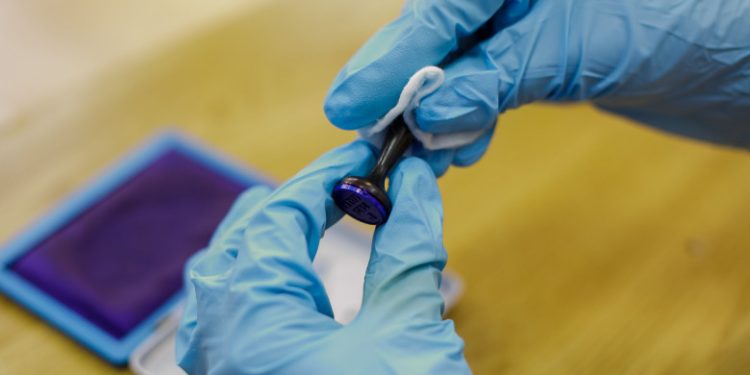 Teleorman în top 5 județe cu cea mai mare prezență la vot