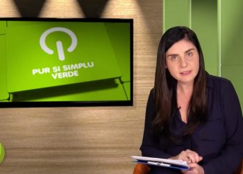 Asociația Pur și simplu verde: „Susținem progresul economic și protejarea mediului înconjurător”/Comunicat de presă