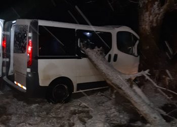 A ajuns la spital după ce a intrat cu mașina în copac [Galerie foto]
