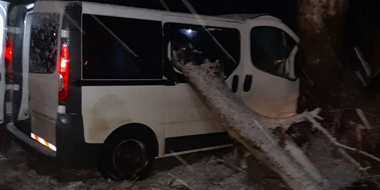 A ajuns la spital după ce a intrat cu mașina în copac [Galerie foto]