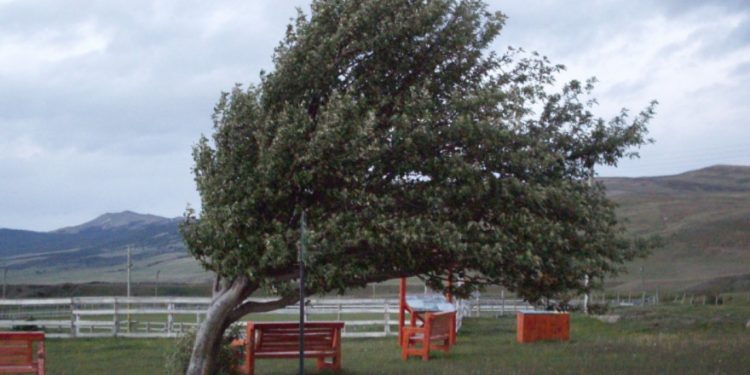 Atenție! Vânt puternic în Teleorman