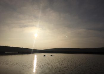 Trei eleve vor să dezvolte turismul în Teleorman. Vor plimba turiștii cu căruța prin Troianul