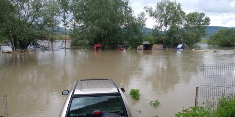 Cod galben de inundații pe Vedea și Călmățui