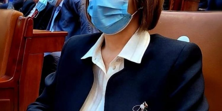 Maria Stoian, deputat PNL: Bugetul pe anul 2021 este construit pe un plan de relansare economică și reziliență de care România are nevoie