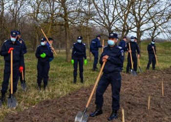 Jandarmii teleormăneni au plantat 171 de stejari