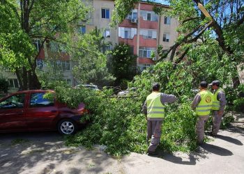 Vântul puternic a făcut ravagii în Teleorman