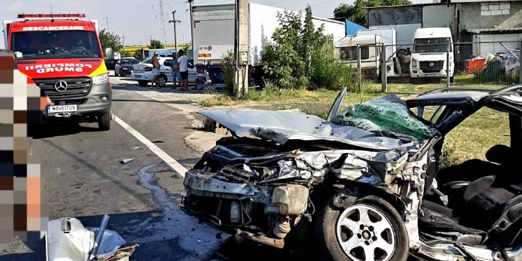 Violeta are nevoie de sânge. Fata a fost grav rănită într-un accident rutier