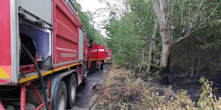 Incendiu la zona de agrement din Roșiorii de Vede!