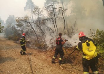 Pompierii români, lăudați în presa din Grecia: „Viteza, organizarea, meticulozitatea și reflexele instinctive sunt uimitoare”